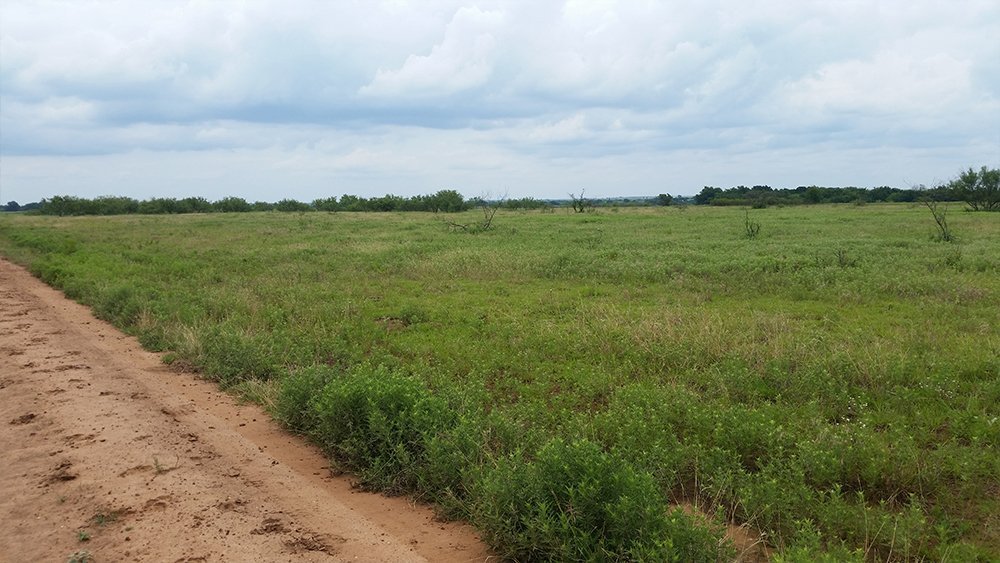 Beavers Dozer & Land Management LLC Photo