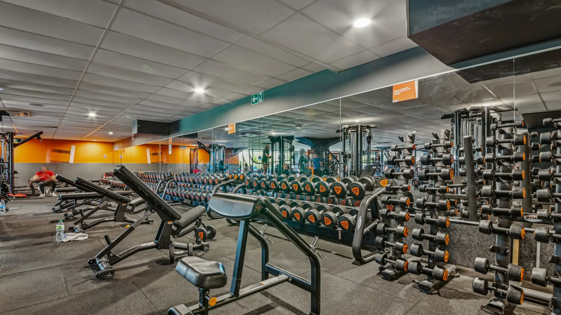 Miniature de la galerie