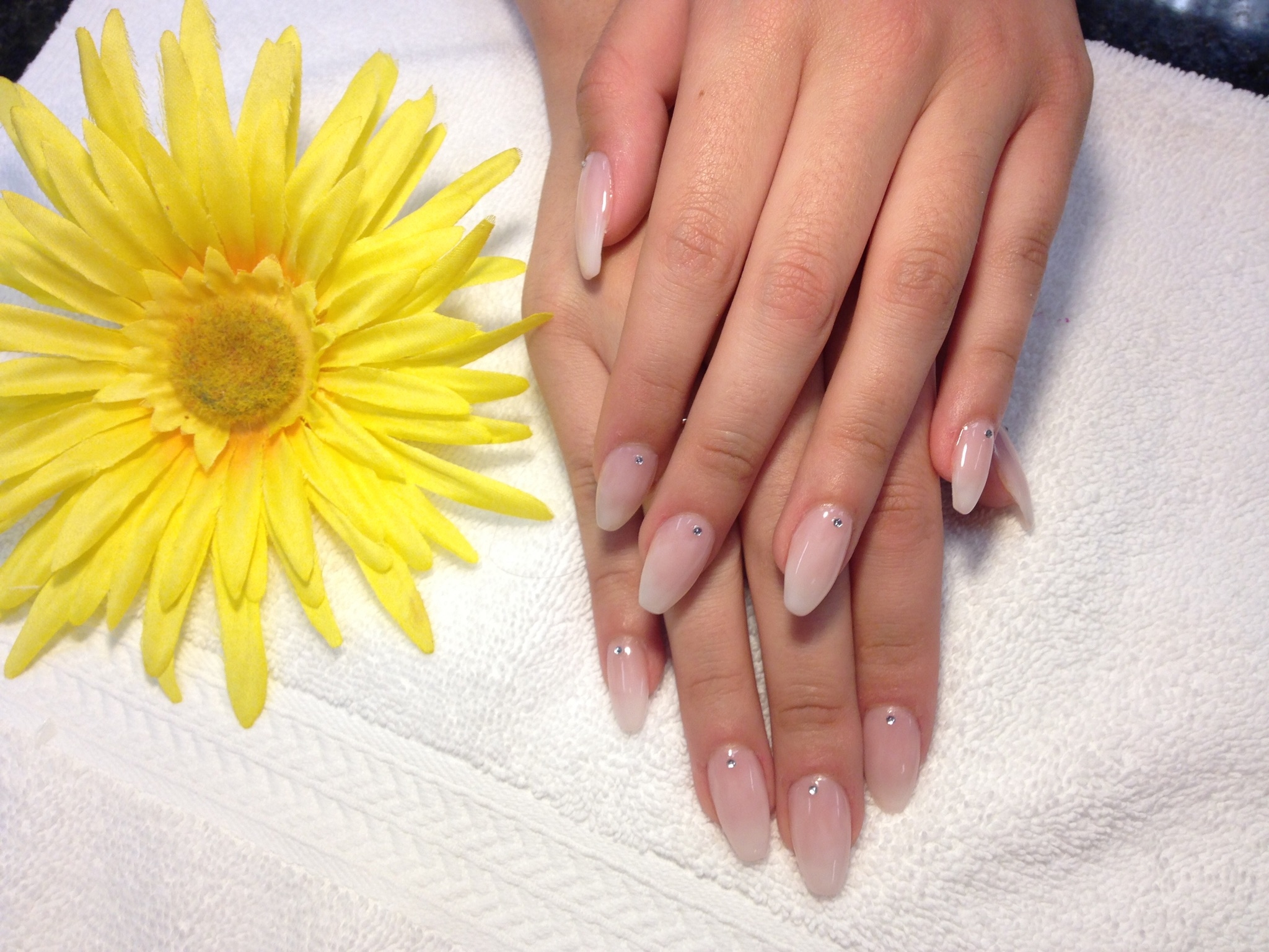 TL Nails & Spa image