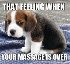 Images Little Oasis Therapies