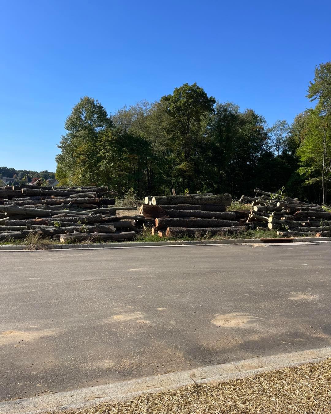 Specialty Tree & Bucket Service Image