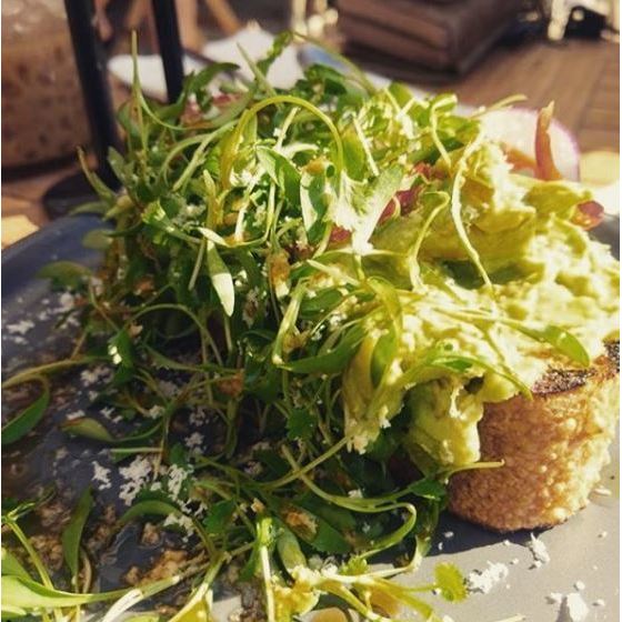 Alkaline Junkie Logo