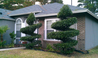 Aquarian Landscaping Inc. Photo