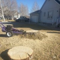 Montana Tree Care Image