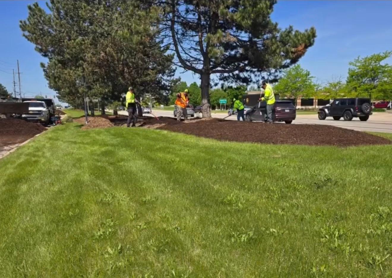 Synergy Lawnscape Image