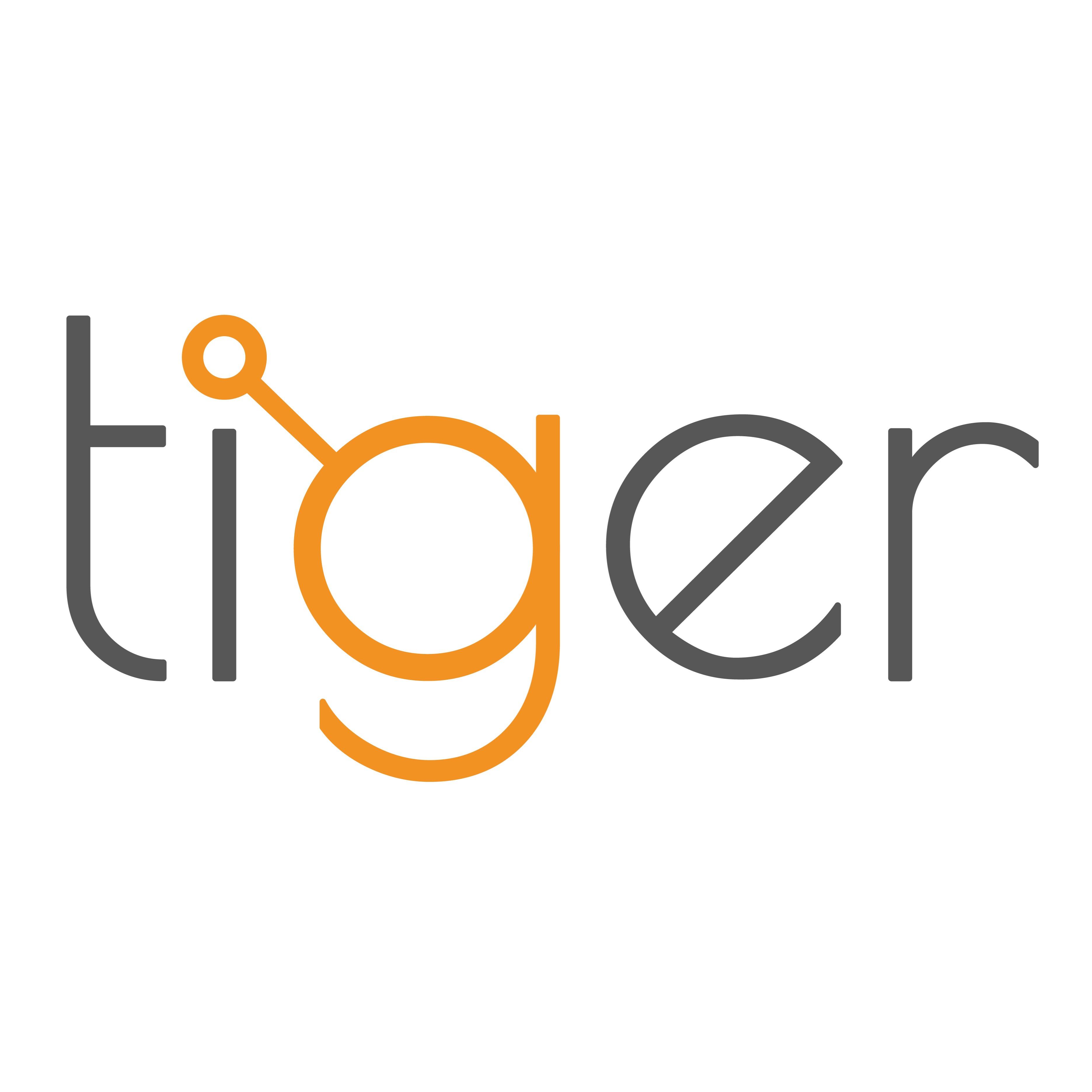 Tiger Systems Ltd
