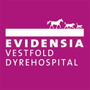 Evidensia Vestfold Dyrehospital