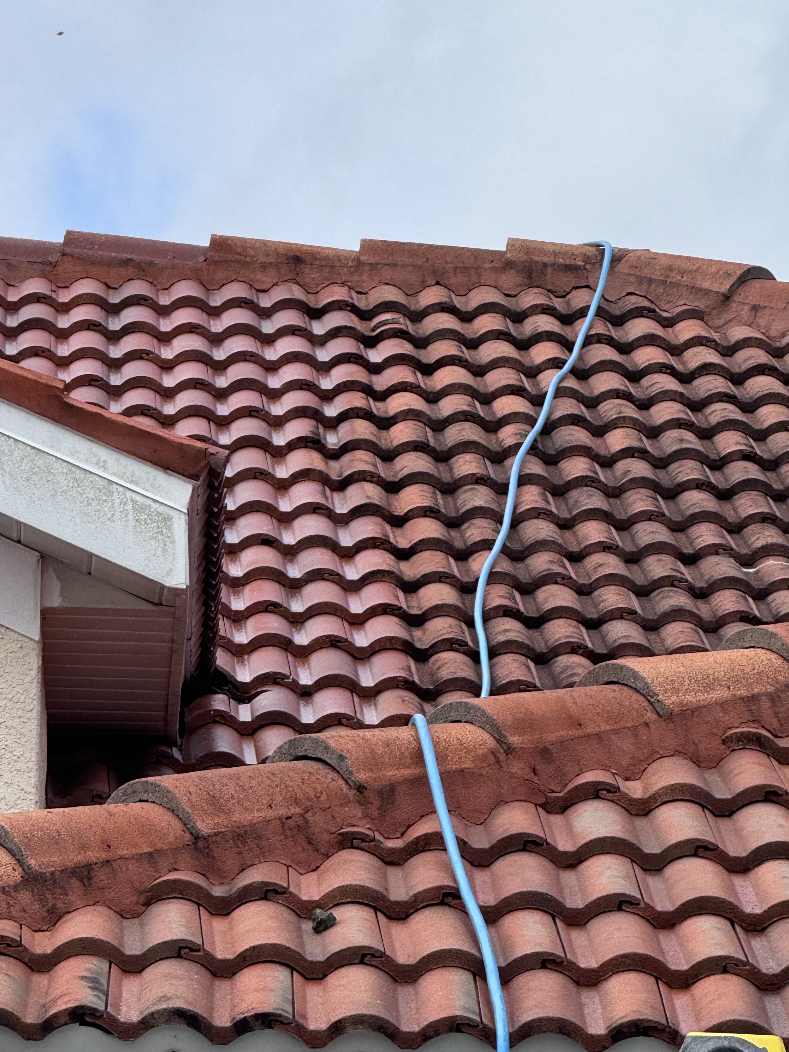 Window Hero Sarasota Image