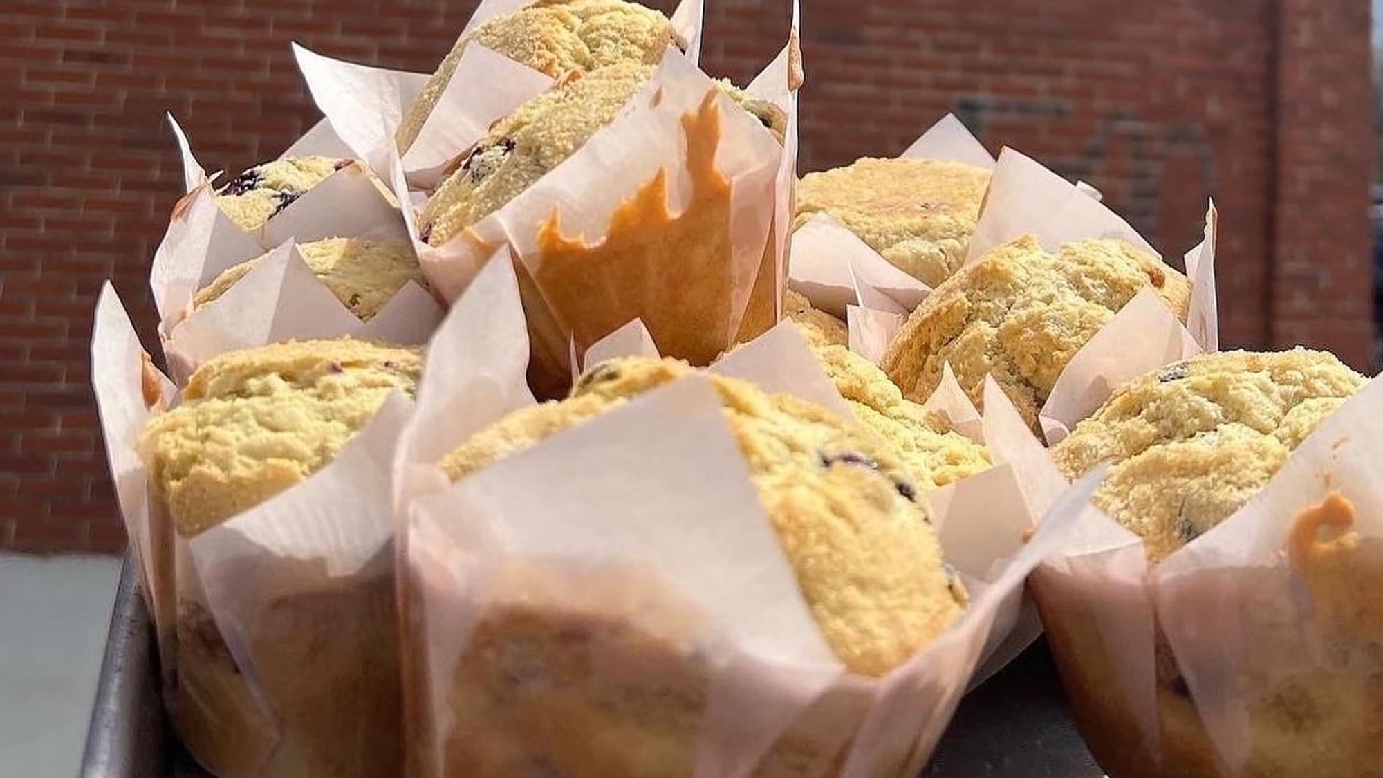 Blueberry Cheesecake Muffin 