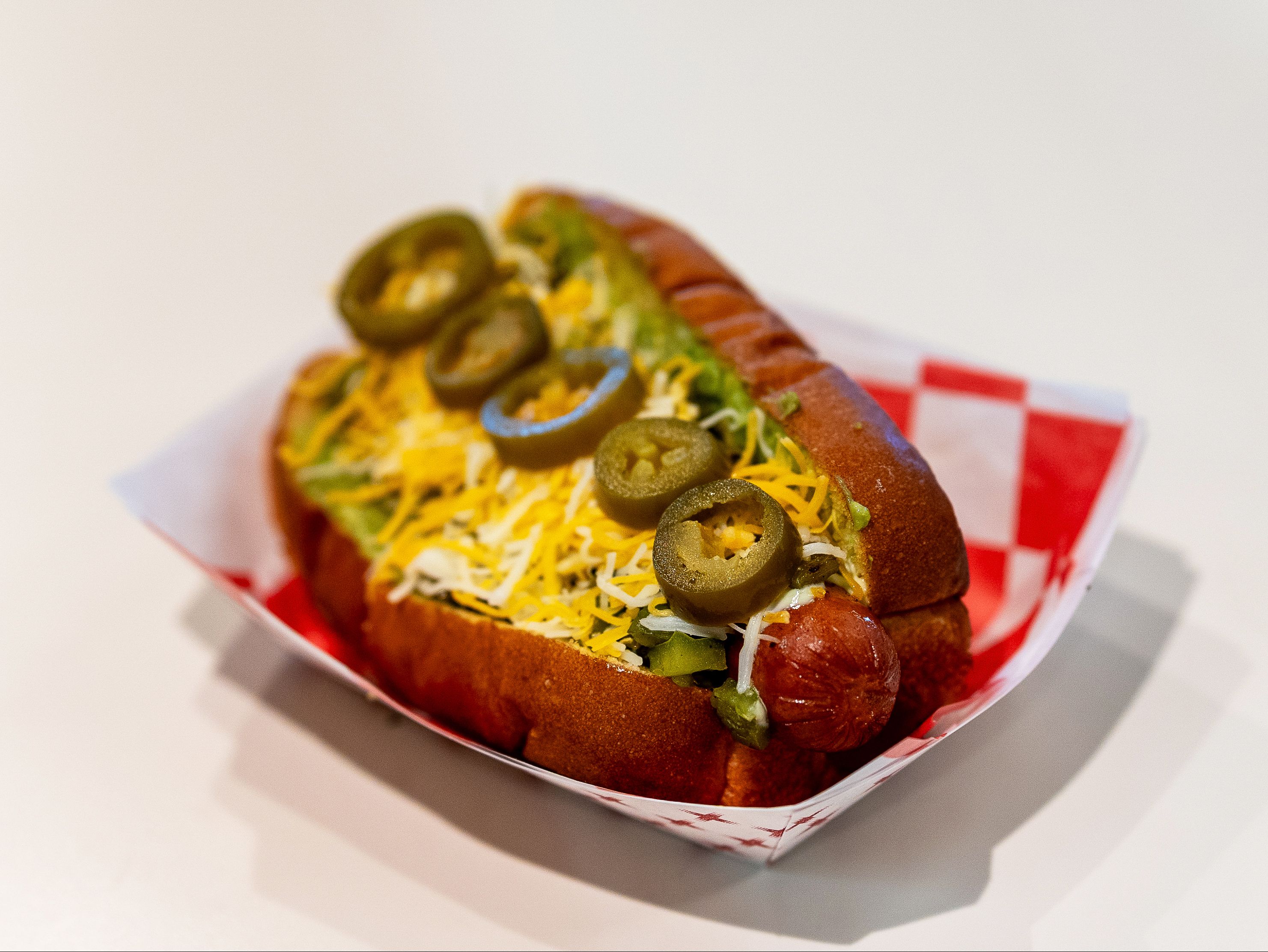 Southwest Dog