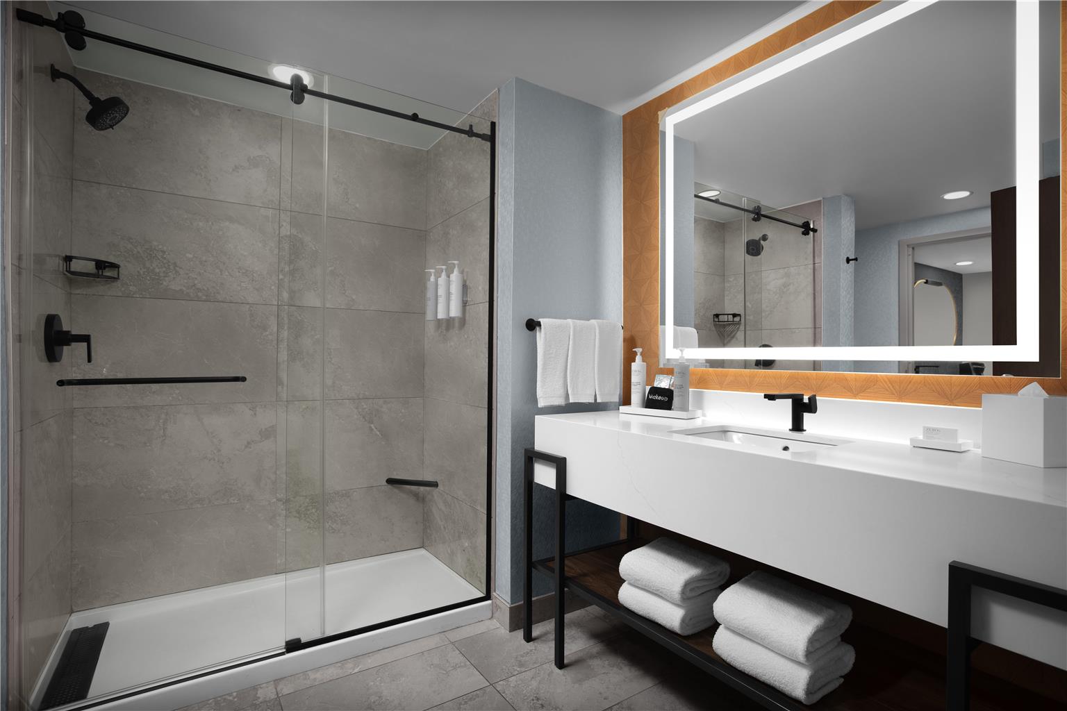 Embassy Suites by Hilton Jackson North Ridgeland Image