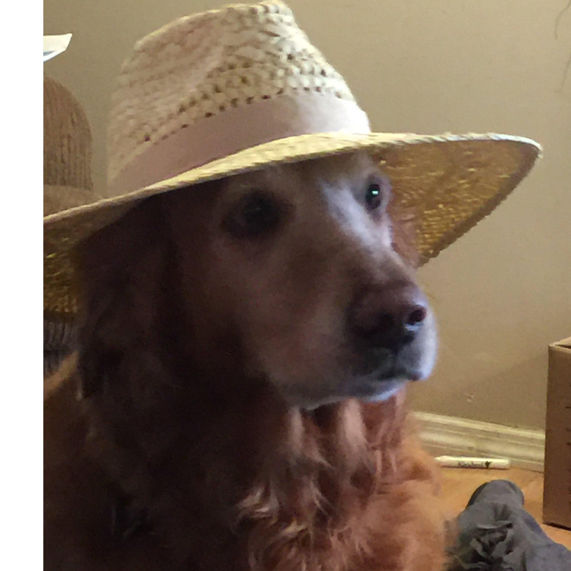 Granddaddy's  Design Tees Logo