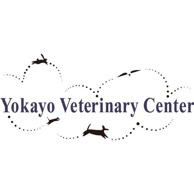 Yokayo Veterinary Center Photo