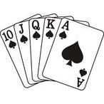 Royal Flush Environmental Services