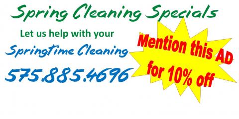 Springtime Cleaning Services Photo