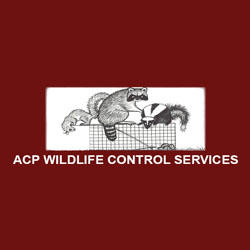 ACP Wildlife Control Services Logo