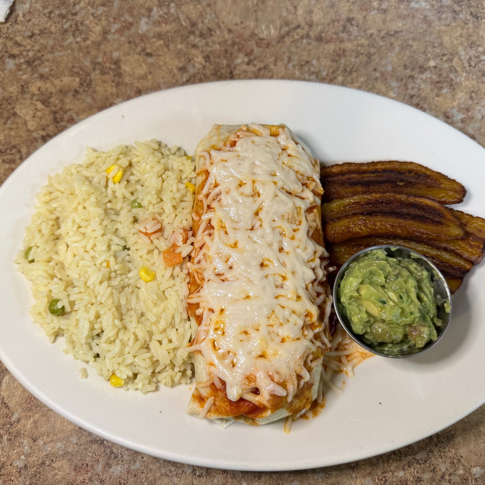 Vegan Bean Burrito Enchilada Style