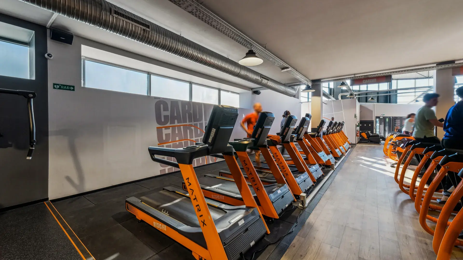 Miniature de la galerie