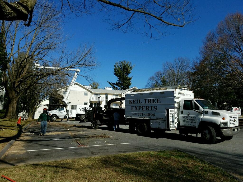 Keil Tree Experts Inc Image