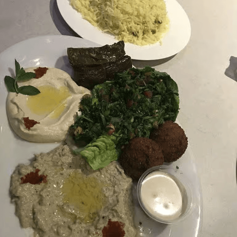 Vegetarian Combo