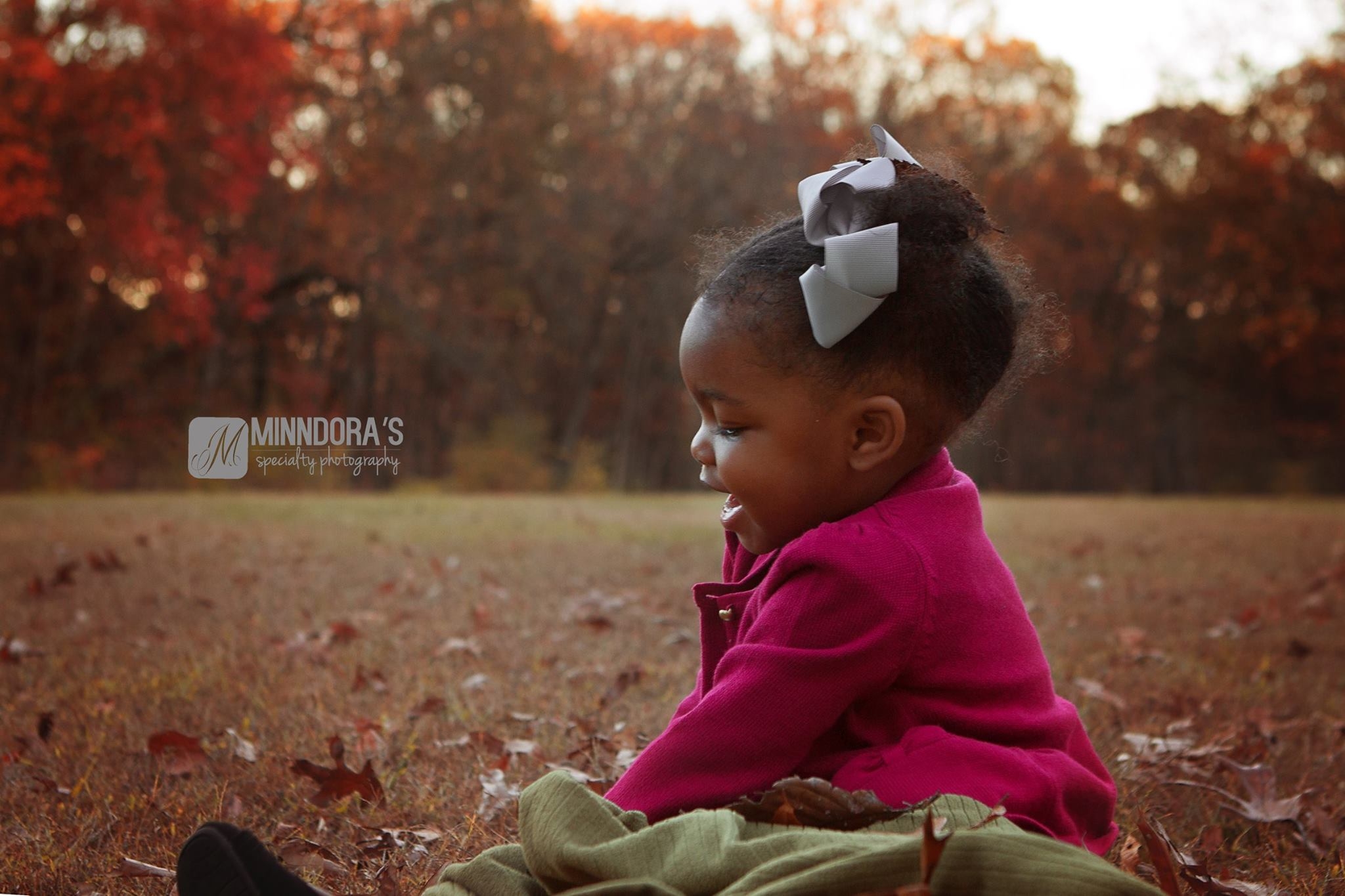 Minndora's Specialty Photography Image