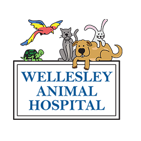 Wellesley Animal Hospital Logo