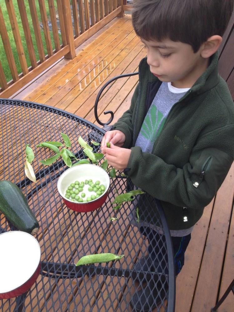 Urban Nature Preschool Photo