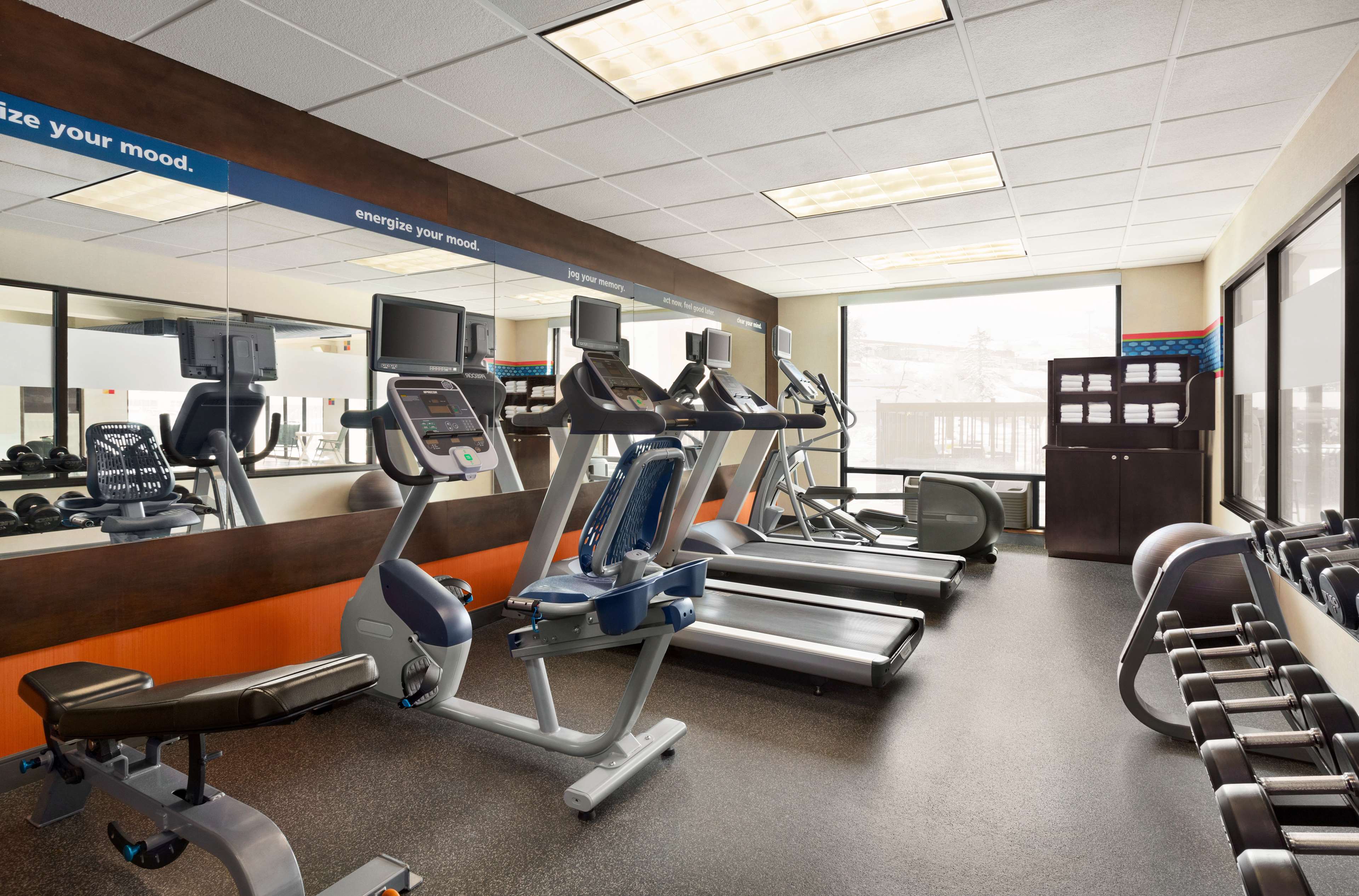 Health club  fitness center  gym