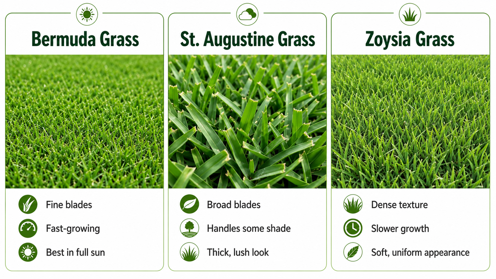 Sharp Edge Lawn Care