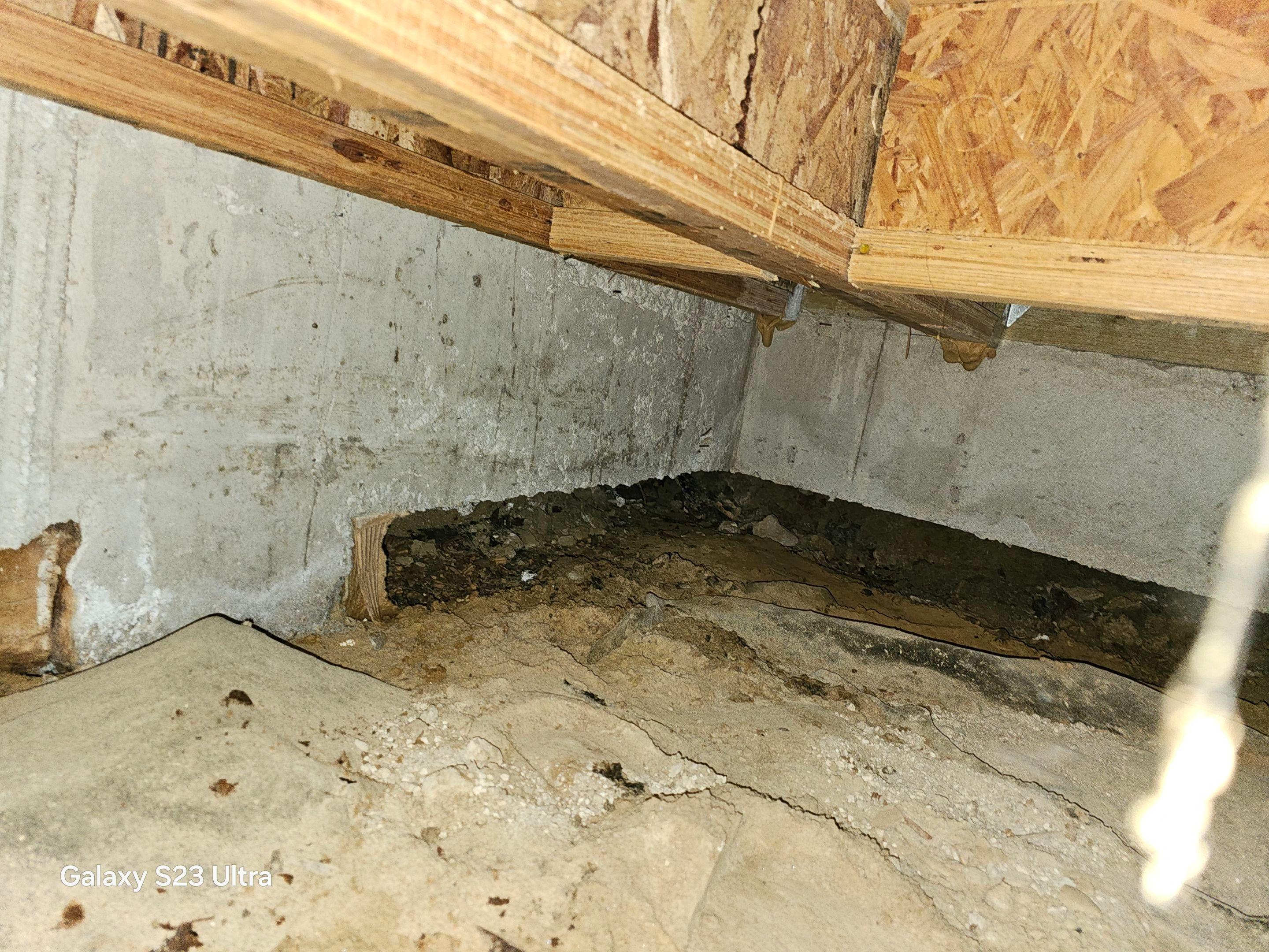 Water Damage, Inc. Image