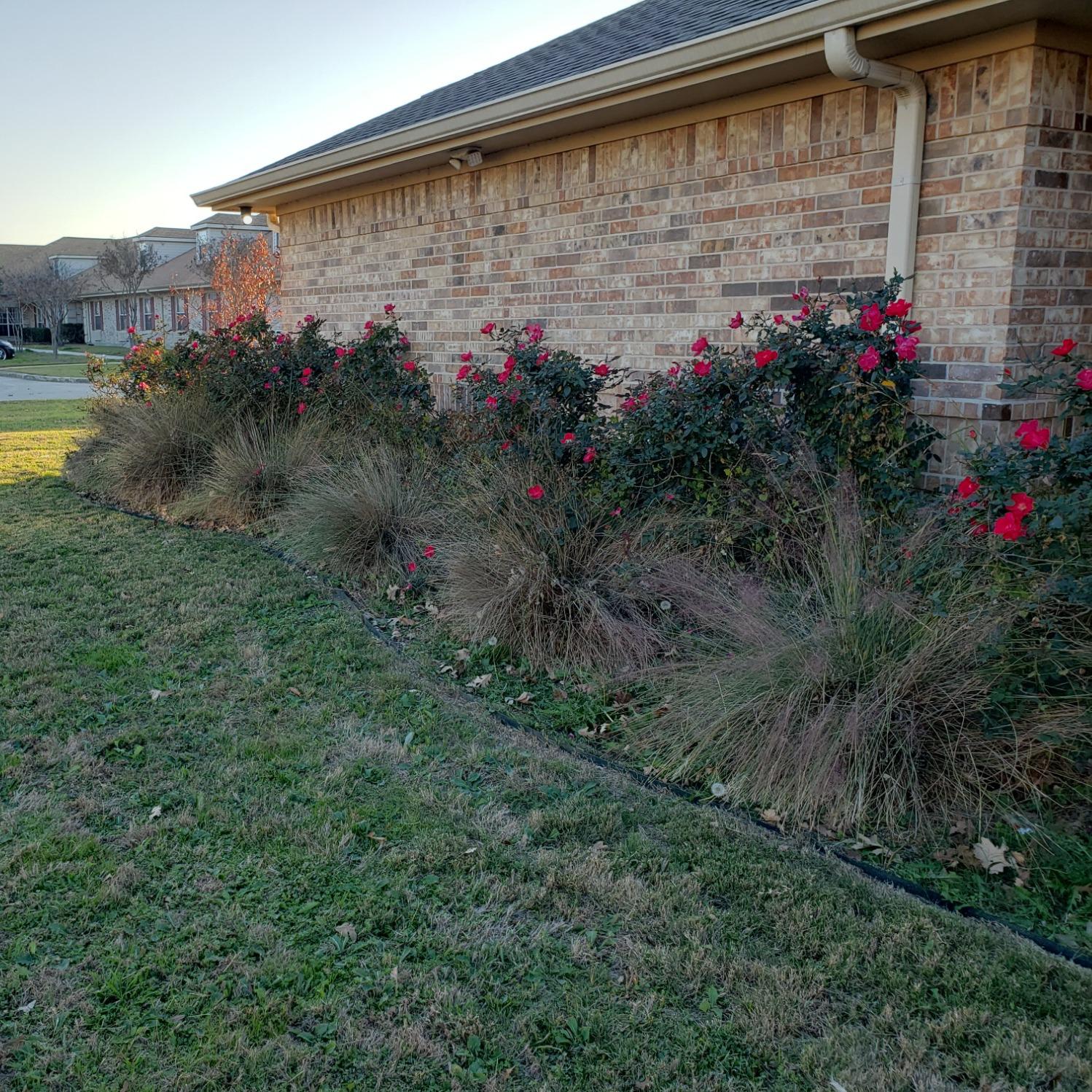 Mr PowerWash & Lawn Maintenance Photo