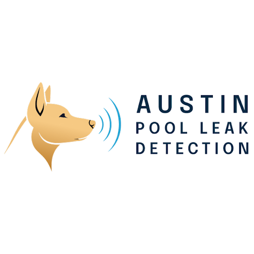 Austin Pool Leak Detection
