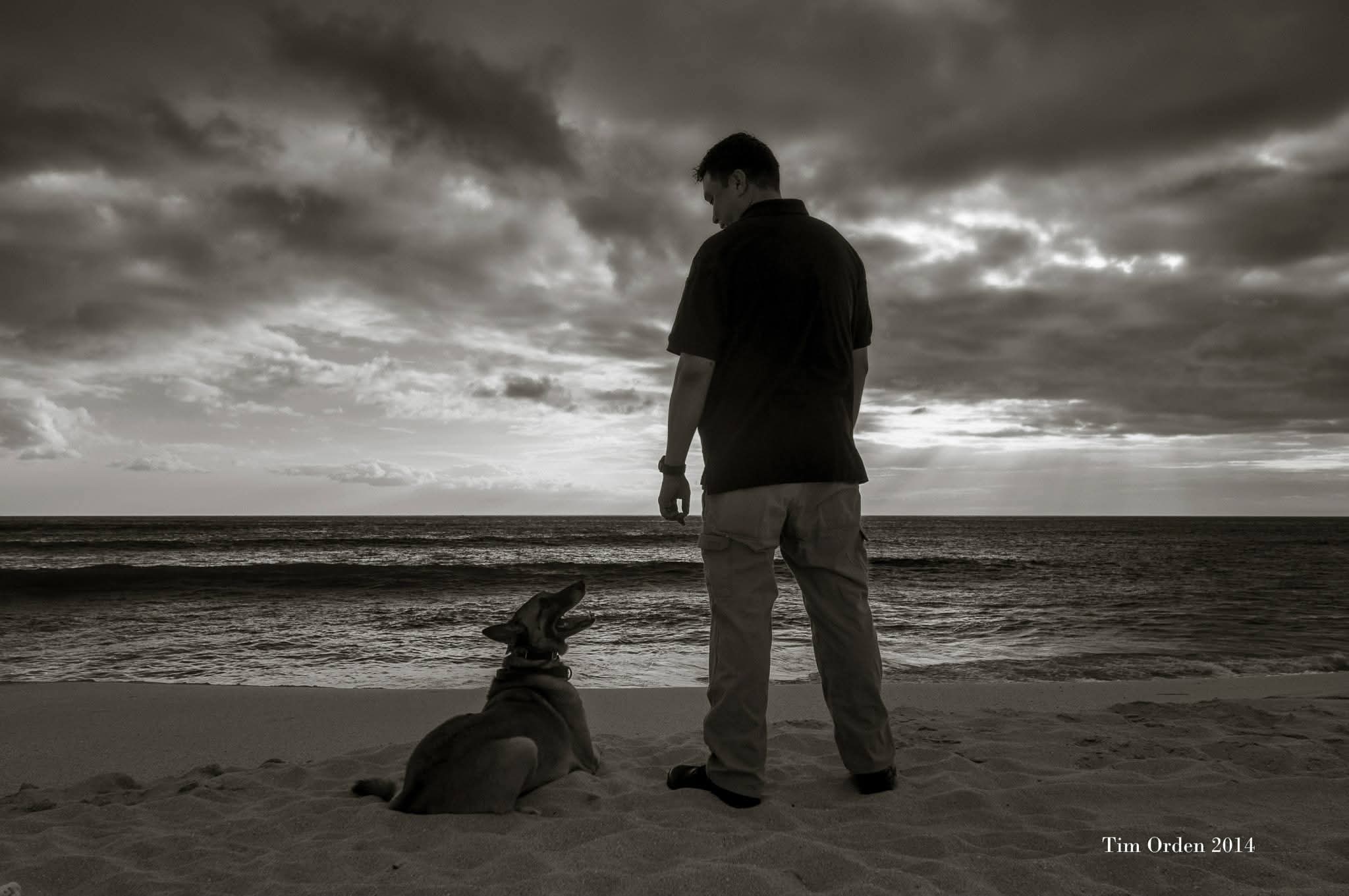 Exceptional Obedience Dog Training Image