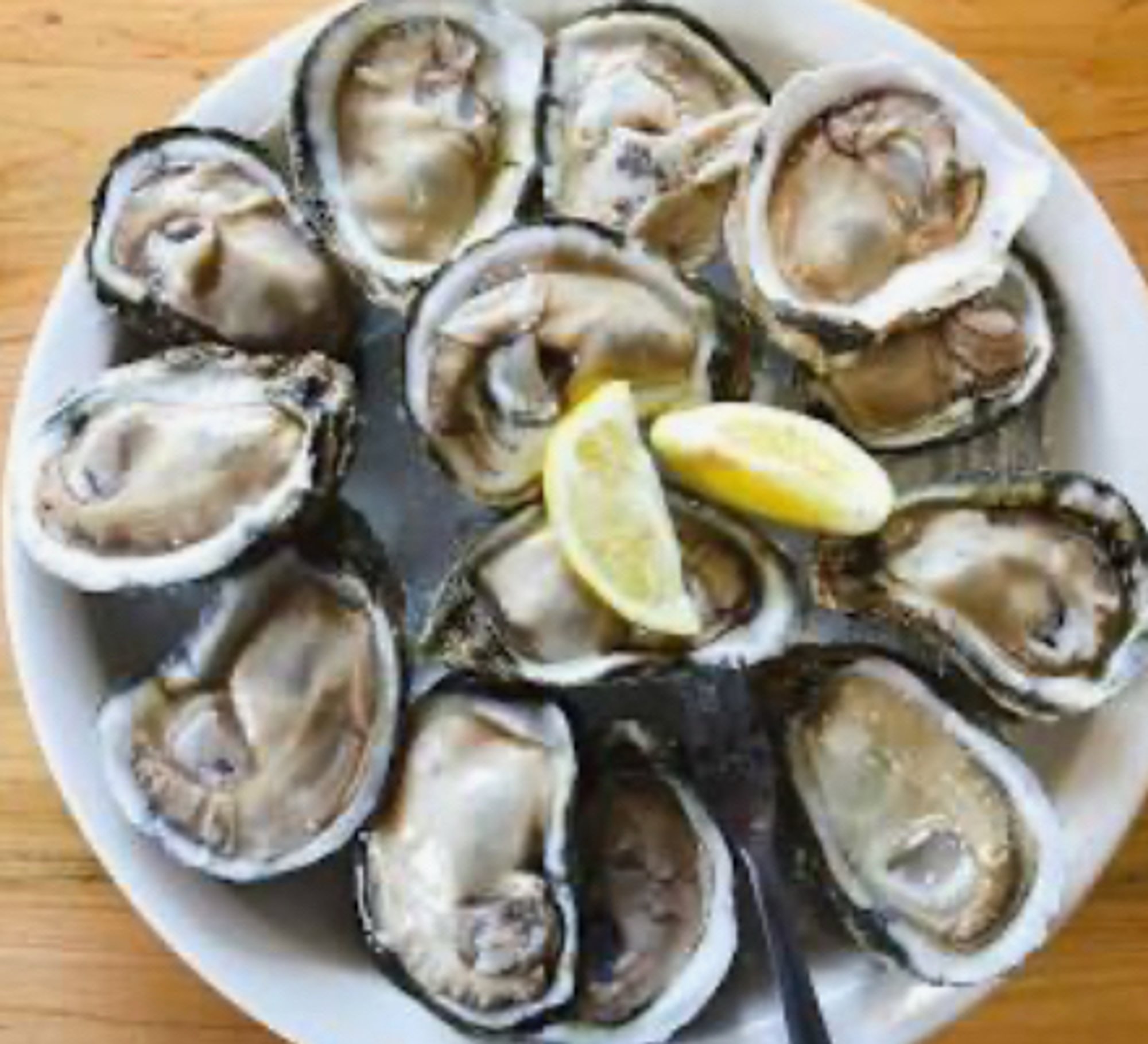 Fresh Oysters on the Half Shell - 10 Steamed Oysters