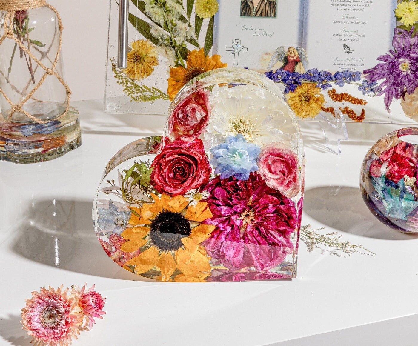 Wild Coast Flower Preservation Image