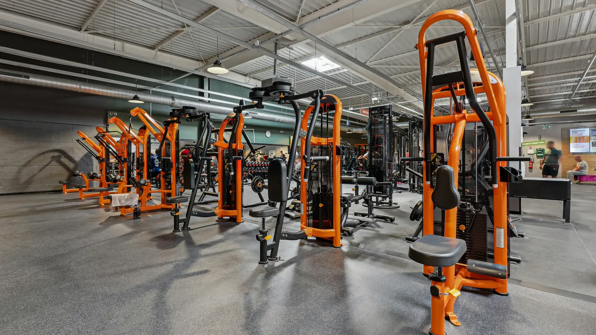 Miniature de la galerie