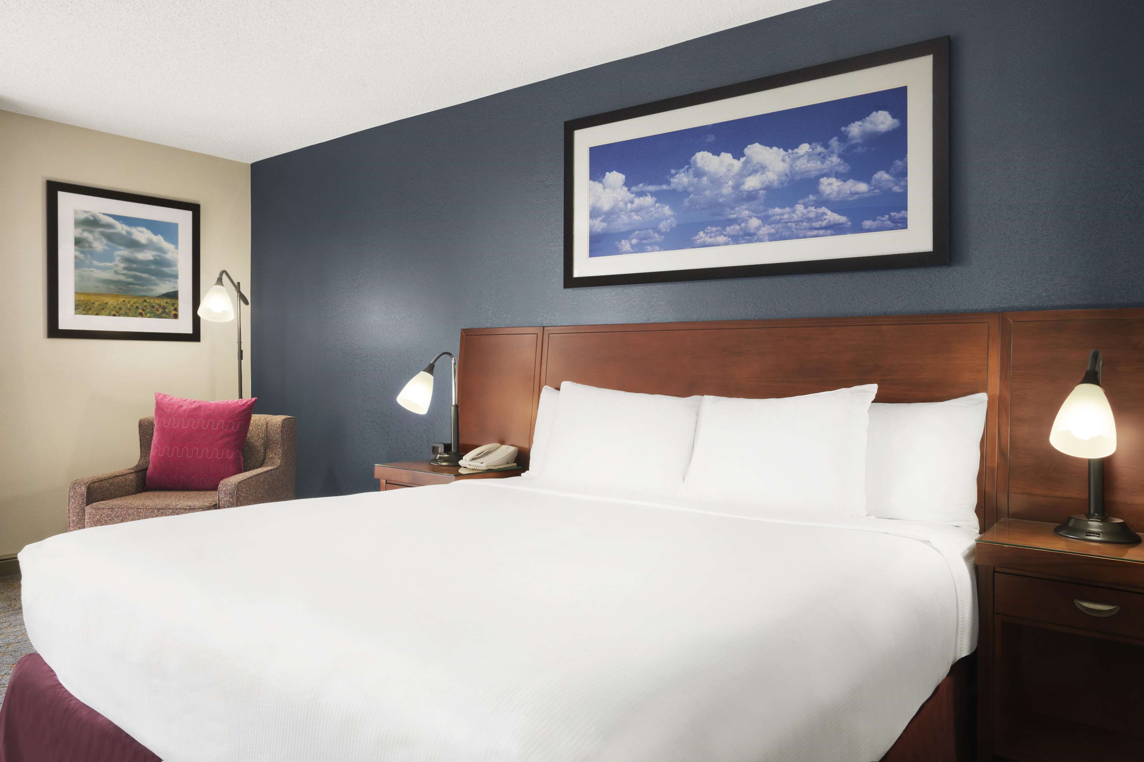 DoubleTree by Hilton Hotel Dallas - DFW Airport North Photo