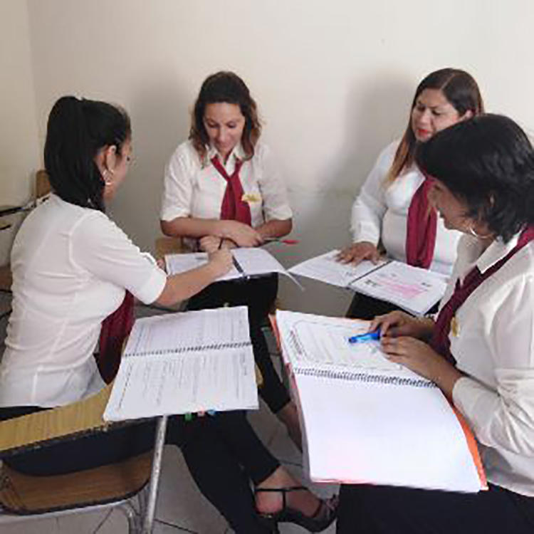 Galería en miniatura