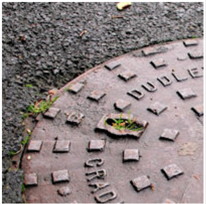 Dyno-Rod, Pipe Tracing, Cork