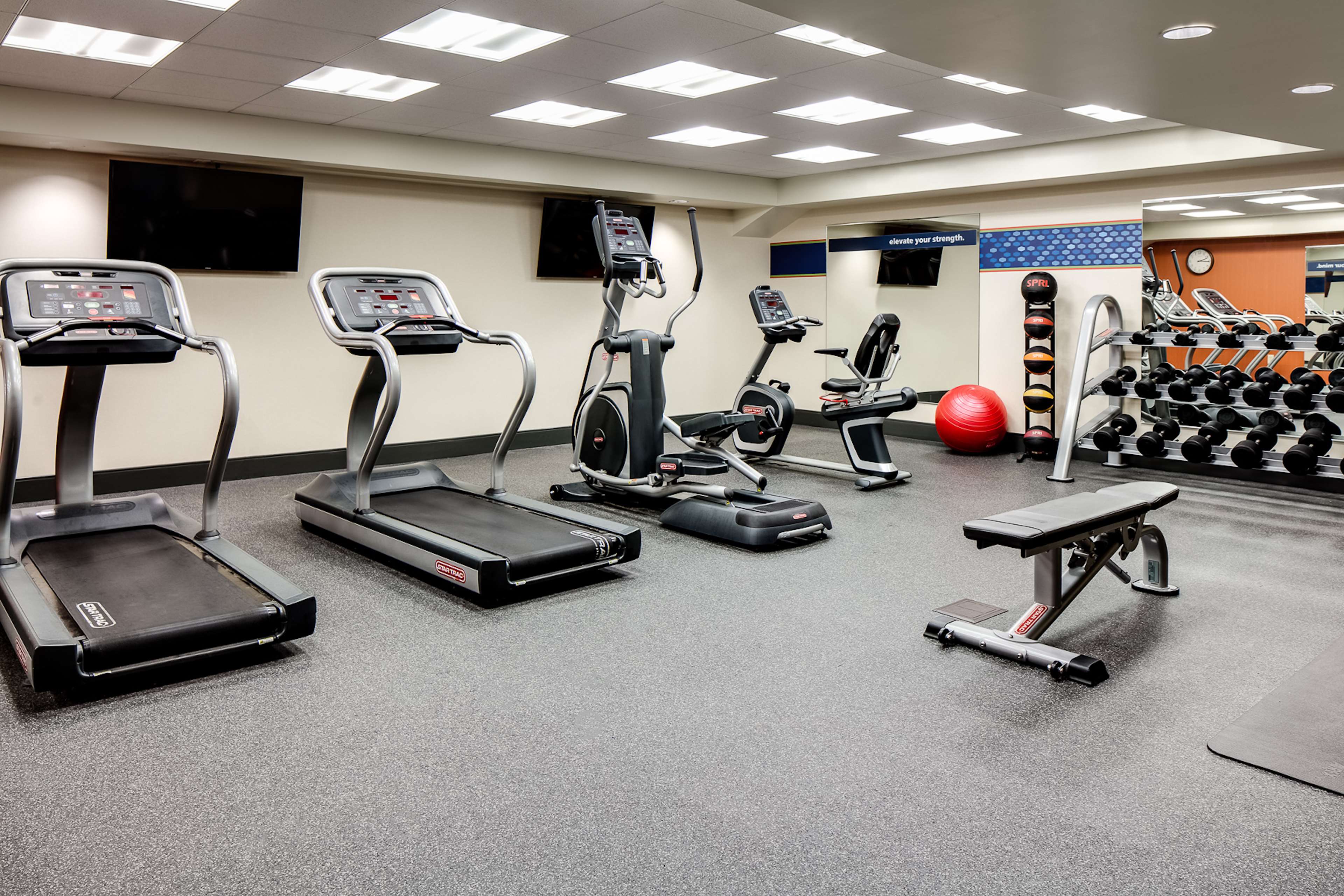 Health club  fitness center  gym