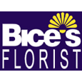 Bice's Florist