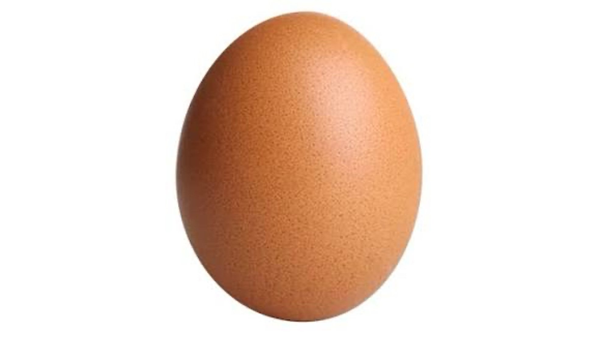1 Egg