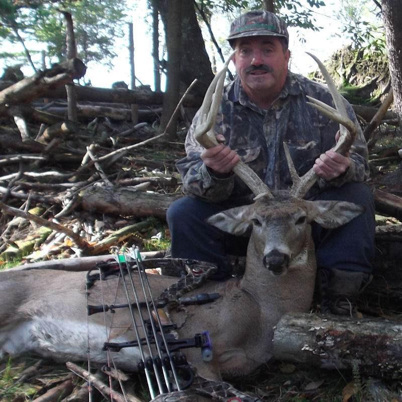 Whitetail Hunts
