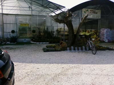 Gallery thumbnail
