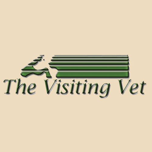 The Visiting Vet Photo