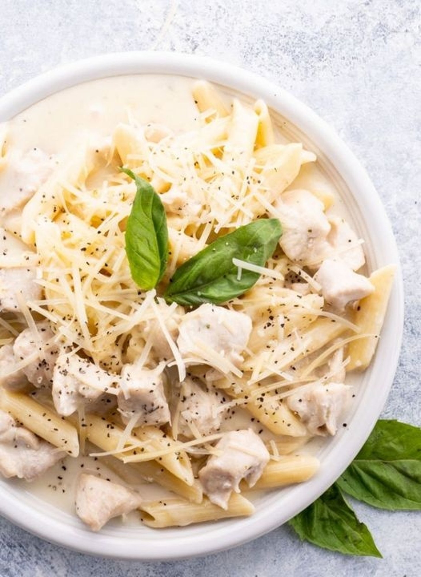 Chicken Alfredo
