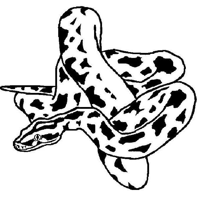 Texas Reptile Expos Logo