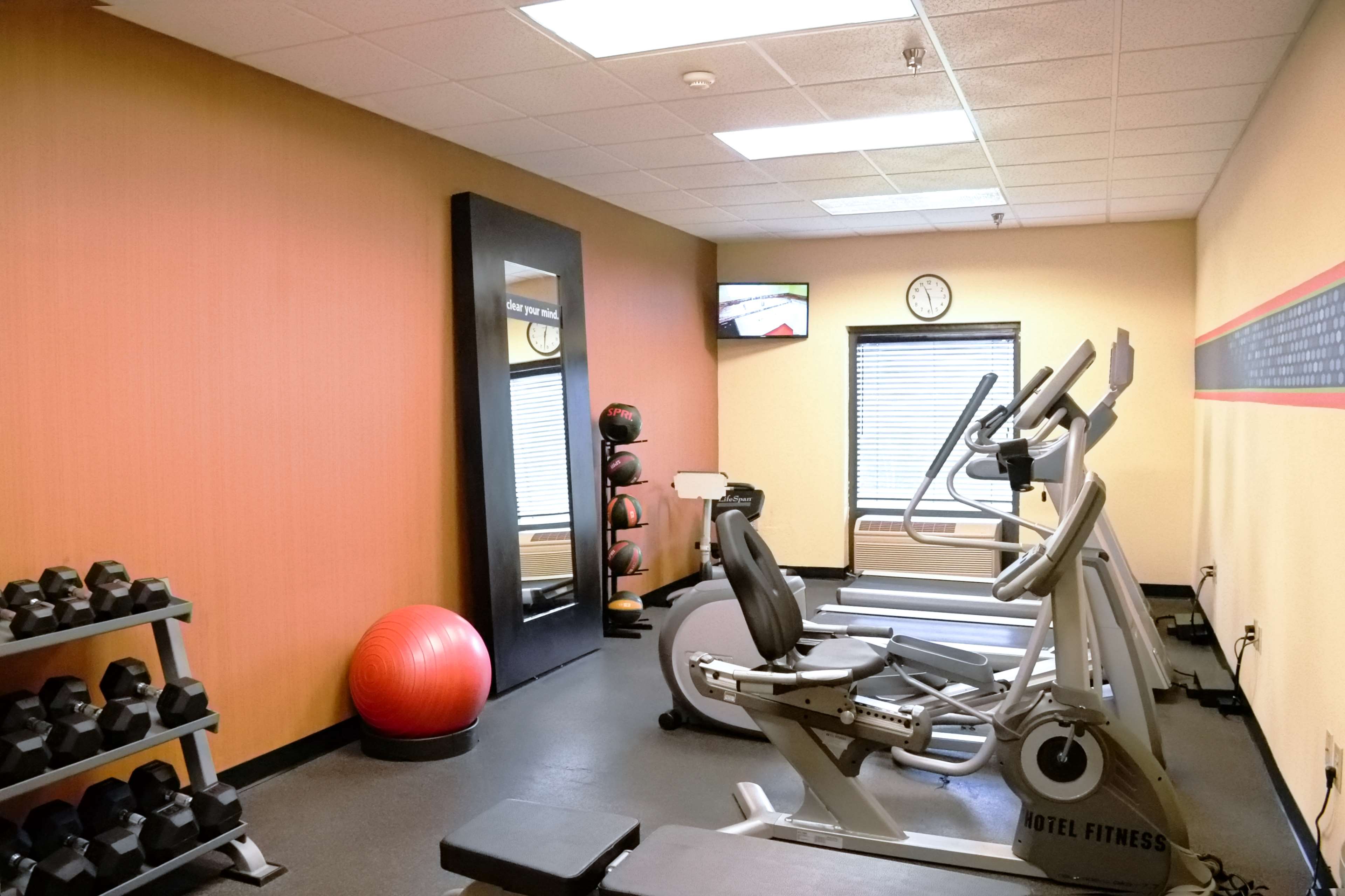 Health club  fitness center  gym