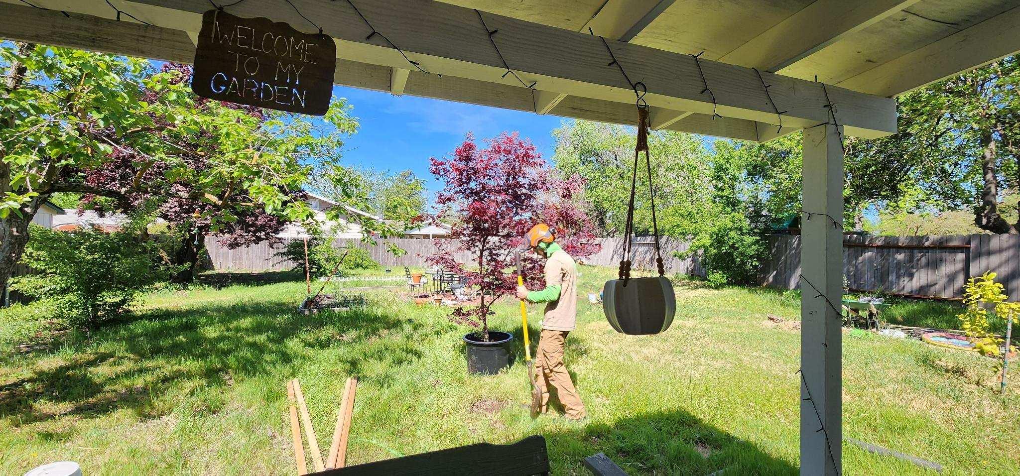 Capital Arborists, Inc. Image