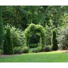Decorative Creations Inc